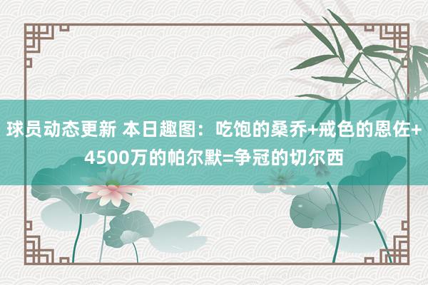 球员动态更新 本日趣图：吃饱的桑乔+戒色的恩佐+4500万的帕尔默=争冠的切尔西