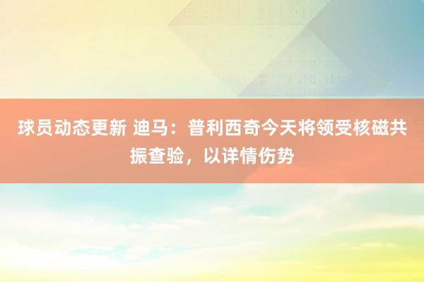 球员动态更新 迪马：普利西奇今天将领受核磁共振查验，以详情伤势